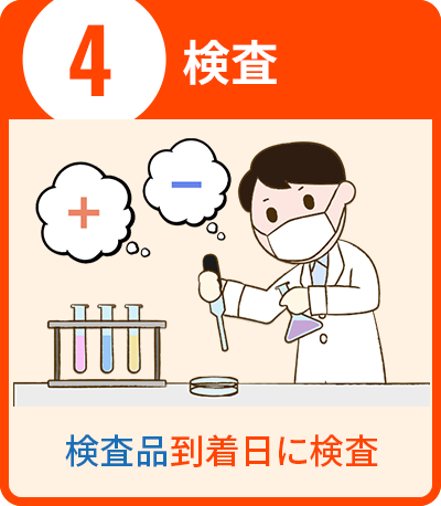 食品細菌検査｜食品の微生物検査・細菌検査の食品微生 …